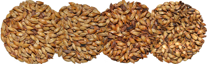 Base Malts