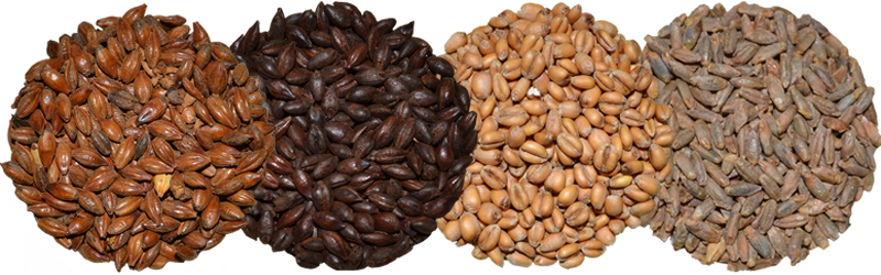 Specialty Malts
