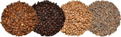 Specialty Malts