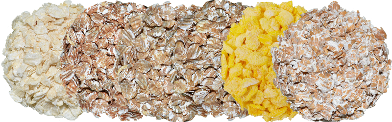 Unmalted Adjunct Grains