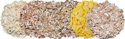 Unmalted Adjunct Grains