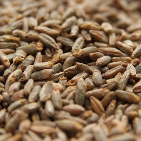Rye Malt | Weyermann® Rye Malt | Weyermann®