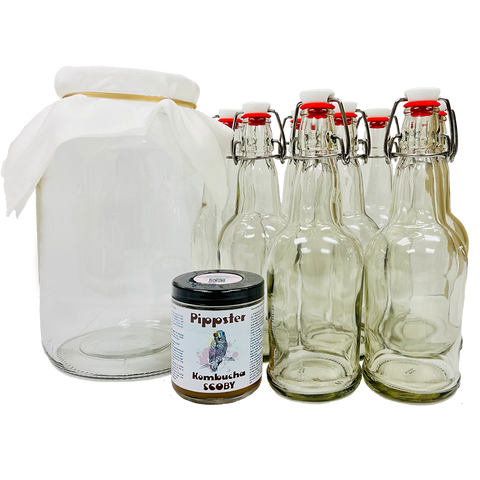 Kombucha | Pippster's Starter Kit Kombucha | Pippster's Starter Kit