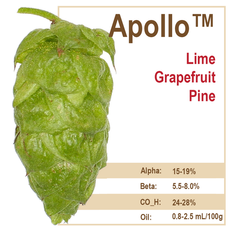 Apollo Hops Apollo Hops