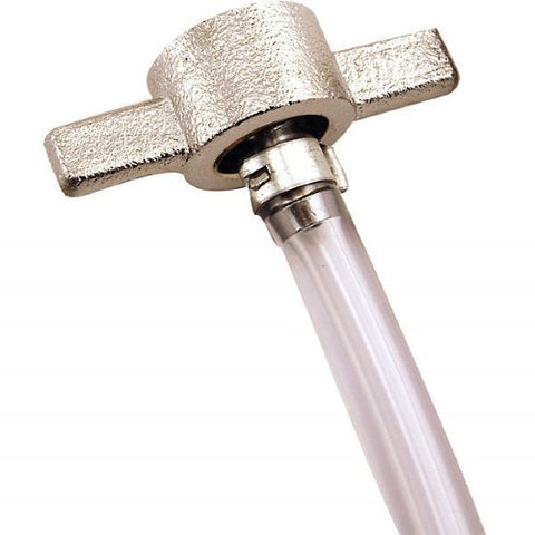 Beer Nut | Wing Beer Nut | Wing