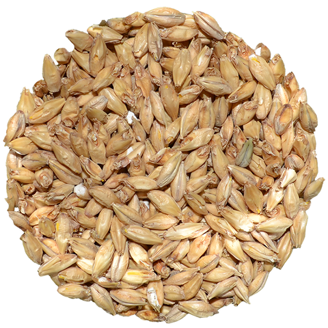 Brewers Malt | Briess 2-row Brewers Malt | Briess 2-row