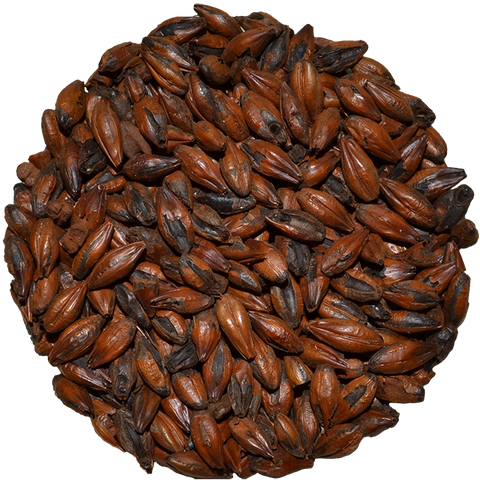 Chocolate Malt | Muntons Chocolate Malt | Muntons