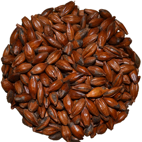 Coffee Malt | Simpsons Coffee Malt | Simpsons