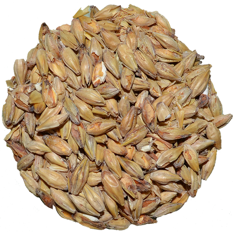 Honey Malt | Gambrinus Honey Malt | Gambrinus