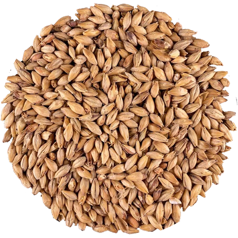 Munich Malt | Light | IREKS Munich Malt | Light | IREKS