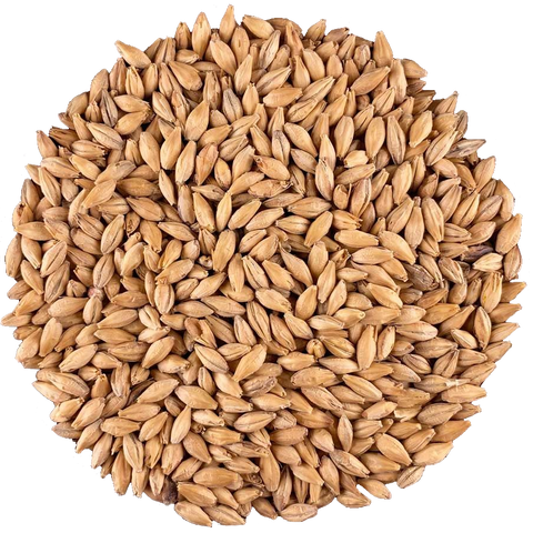 Pilsner Malt | IREKS Pilsner Malt | IREKS