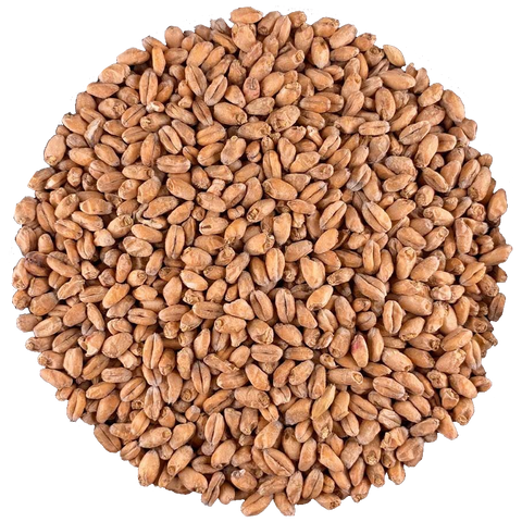 Wheat Malt | Light | IREKS Wheat Malt | Light | IREKS