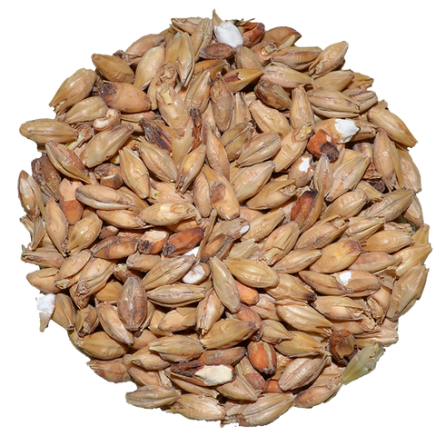 Munich Malt | Light | Avangard Munich Malt | Light | Avangard