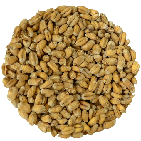 Wheat Malt | Light | Avangard Wheat Malt | Light | Avangard