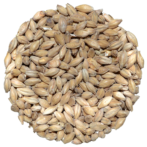 Pale Ale Malt | Muntons Pale Ale Malt | Muntons