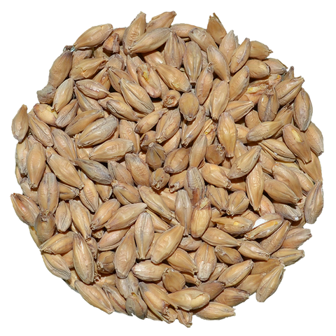 Pilsen Malt | Dingemans Pilsen Malt | Dingemans