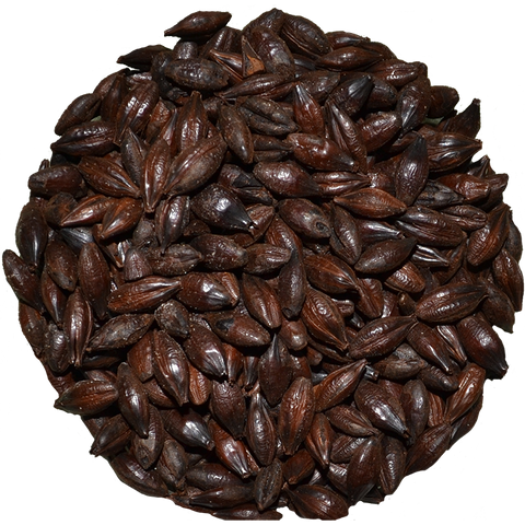 Roasted Barley | Muntons Roasted Barley | Muntons