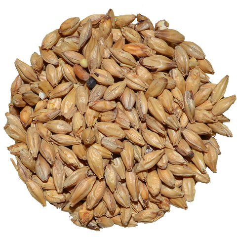 Smoked Malt | Cherry Wood | Briess Smoked Malt | Cherry Wood | Briess