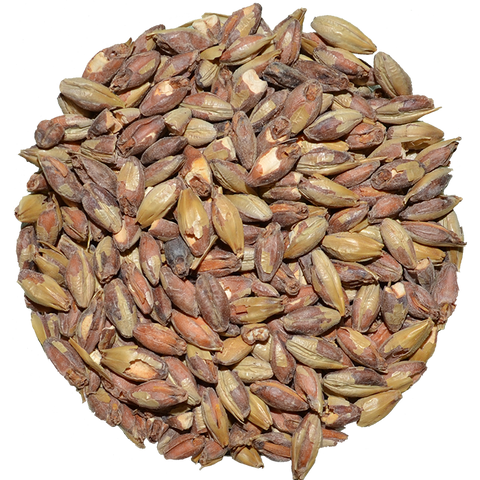 Biscuit Malt | Victory | Briess Biscuit Malt | Victory | Briess