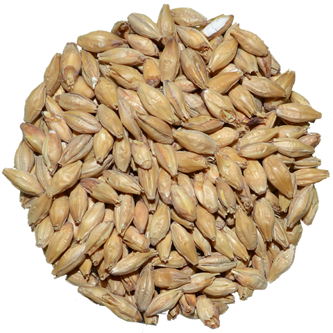 Vienna Malt | Avangard Vienna Malt | Avangard