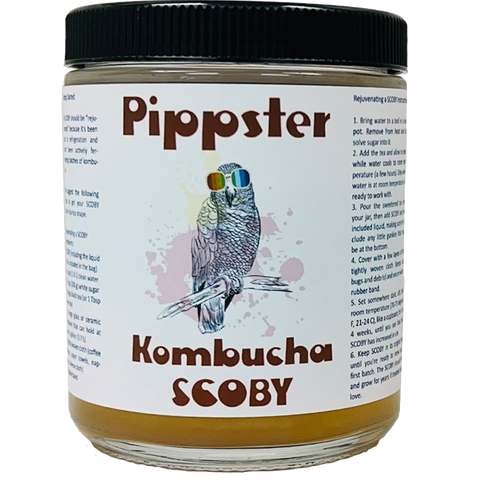 Kombucha | Pippster's SCOBY Kombucha | Pippster's SCOBY