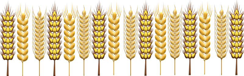 Grains