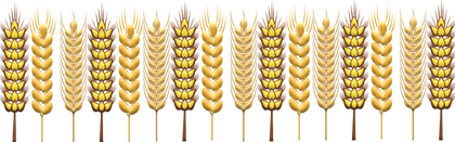 Grains