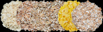 Unmalted Adjunct Grains