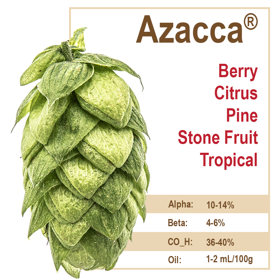 Azacca® Hops – Small Batch Brewtique