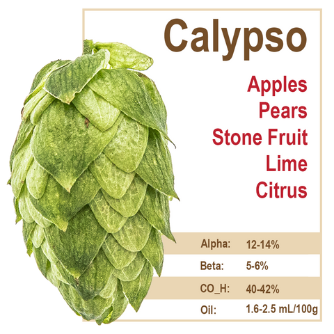 Calypso Hops