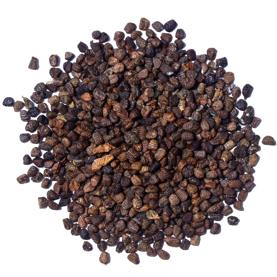 Spice | Cardamom Seed