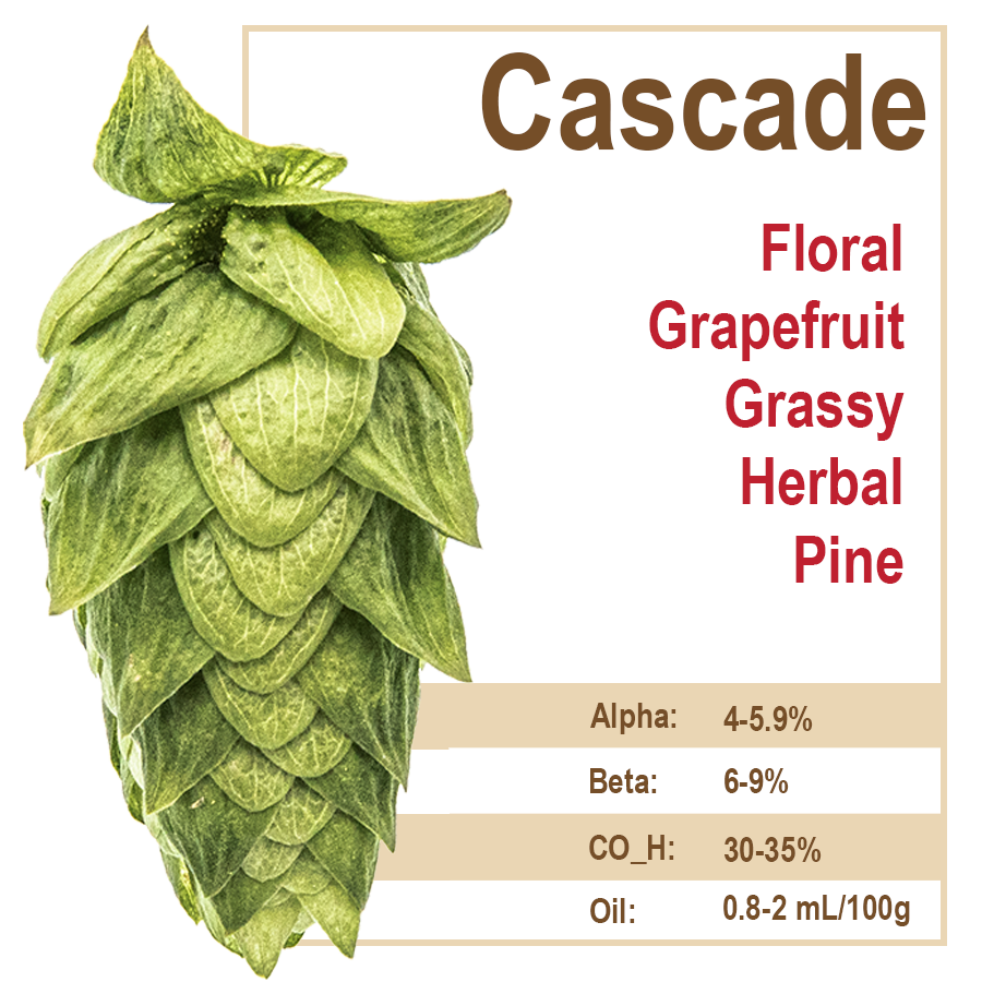 Cascade Hops