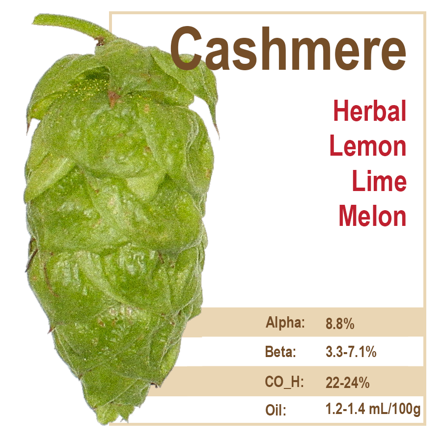 Cashmere Hops