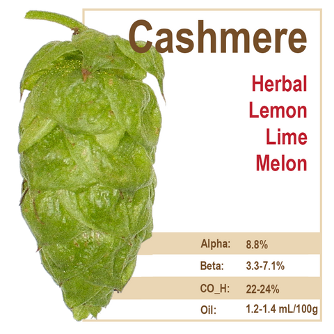 Cashmere Hops