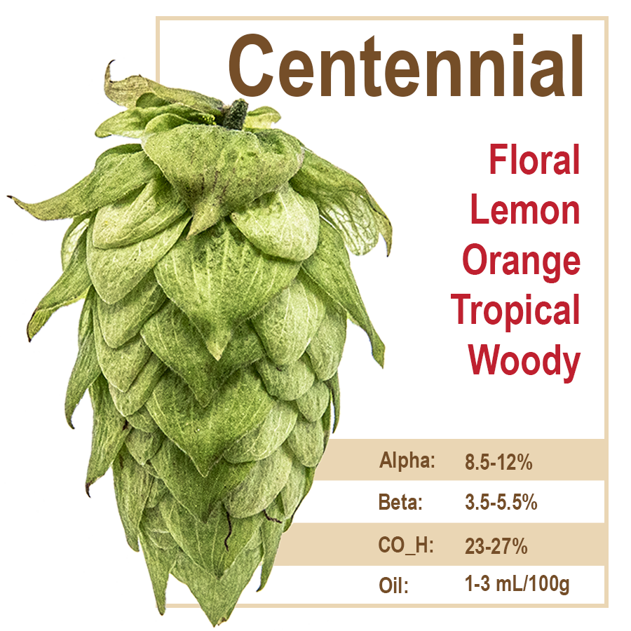 Centennial Hops