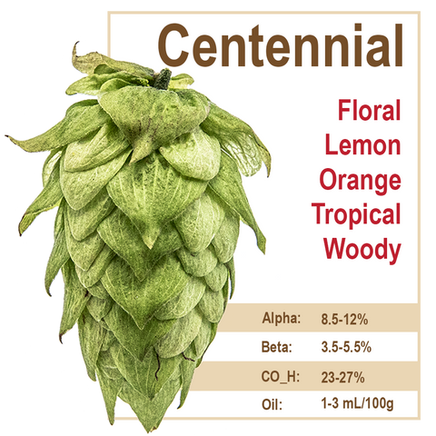 Centennial Hops