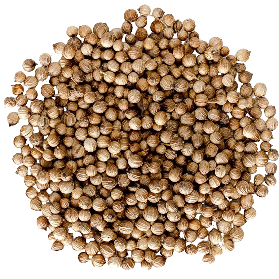 Spice | Coriander Seed