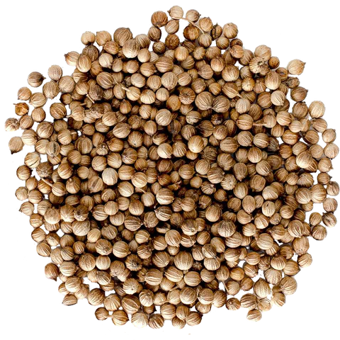 Spice | Coriander Seed