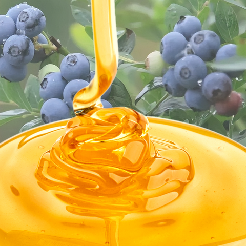 Honey | Blueberry Blossom