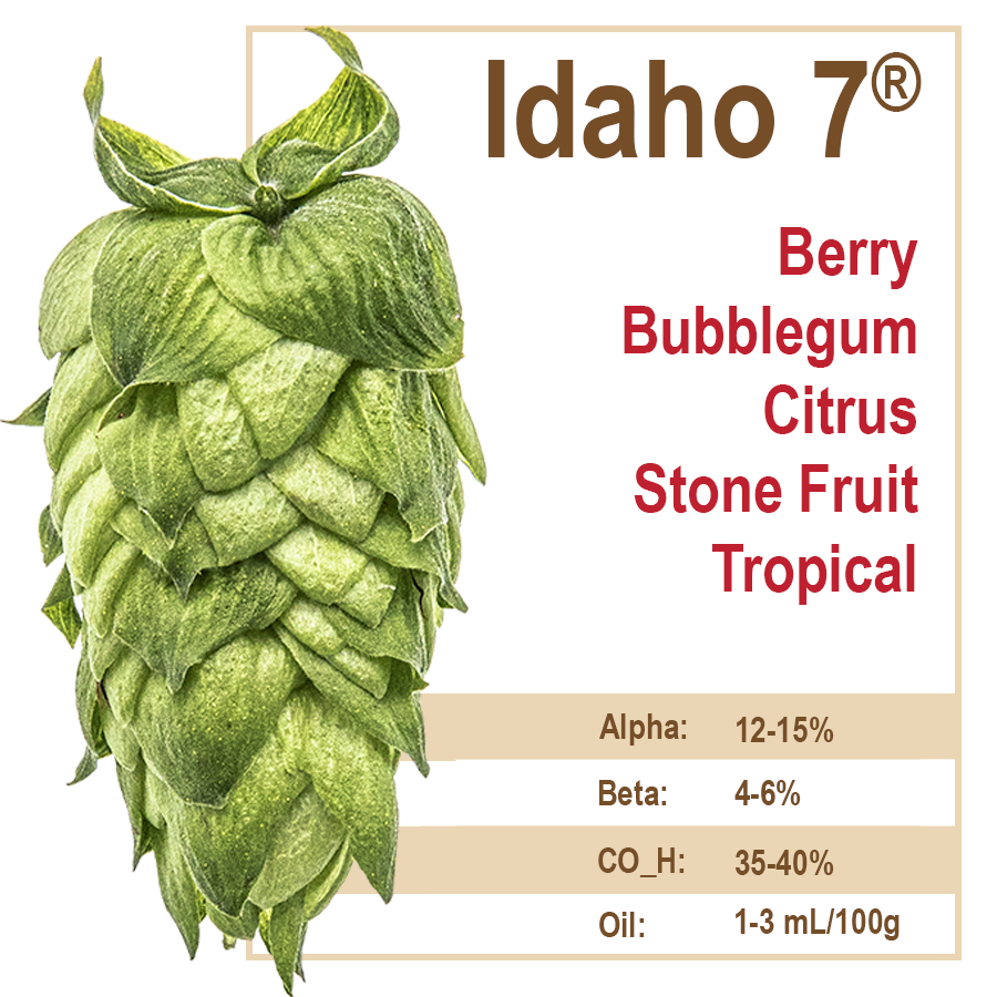 Idaho 7® Hops