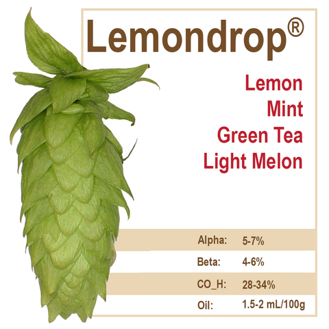 Lemondrop® Hops