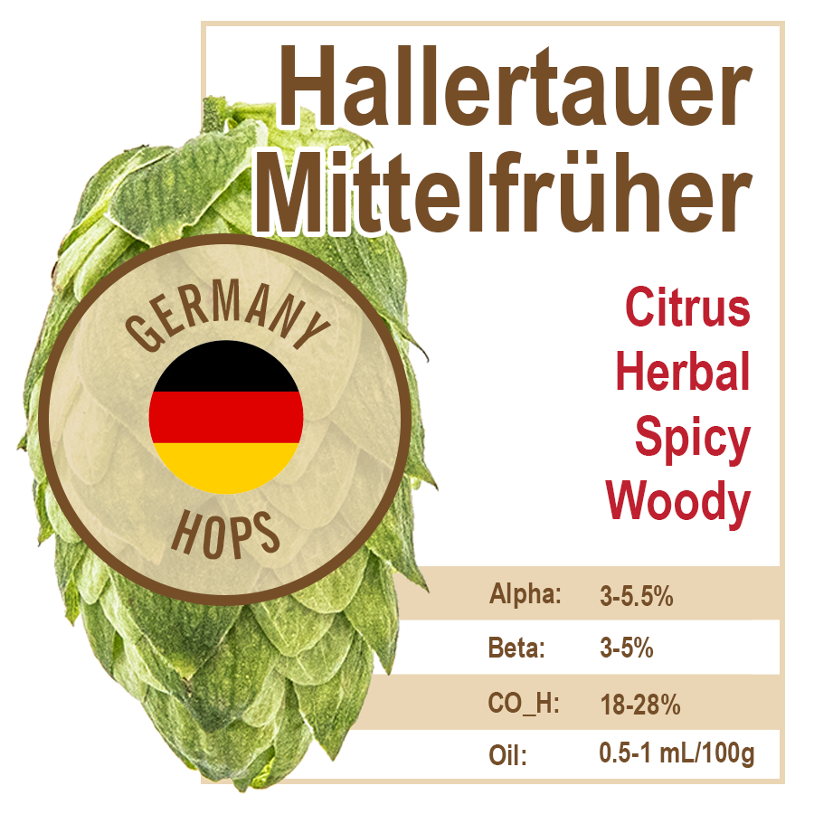 Hallertau Mittelfrüher (GR) Hops