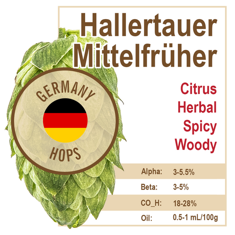 Hallertau Mittelfrüher (GR) Hops