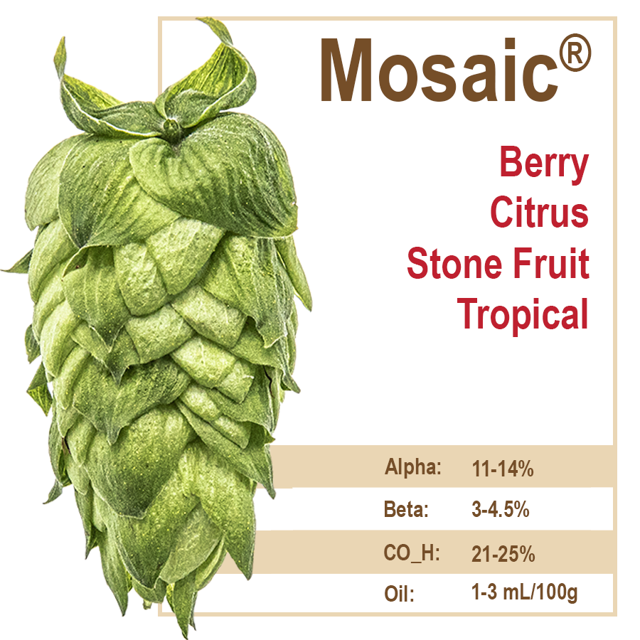 Mosaic® Hops