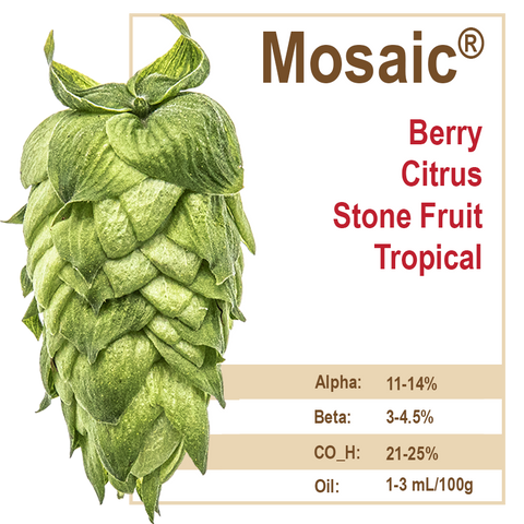 Mosaic® Hops