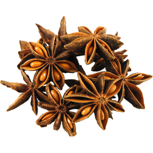 Spice | Star Anise