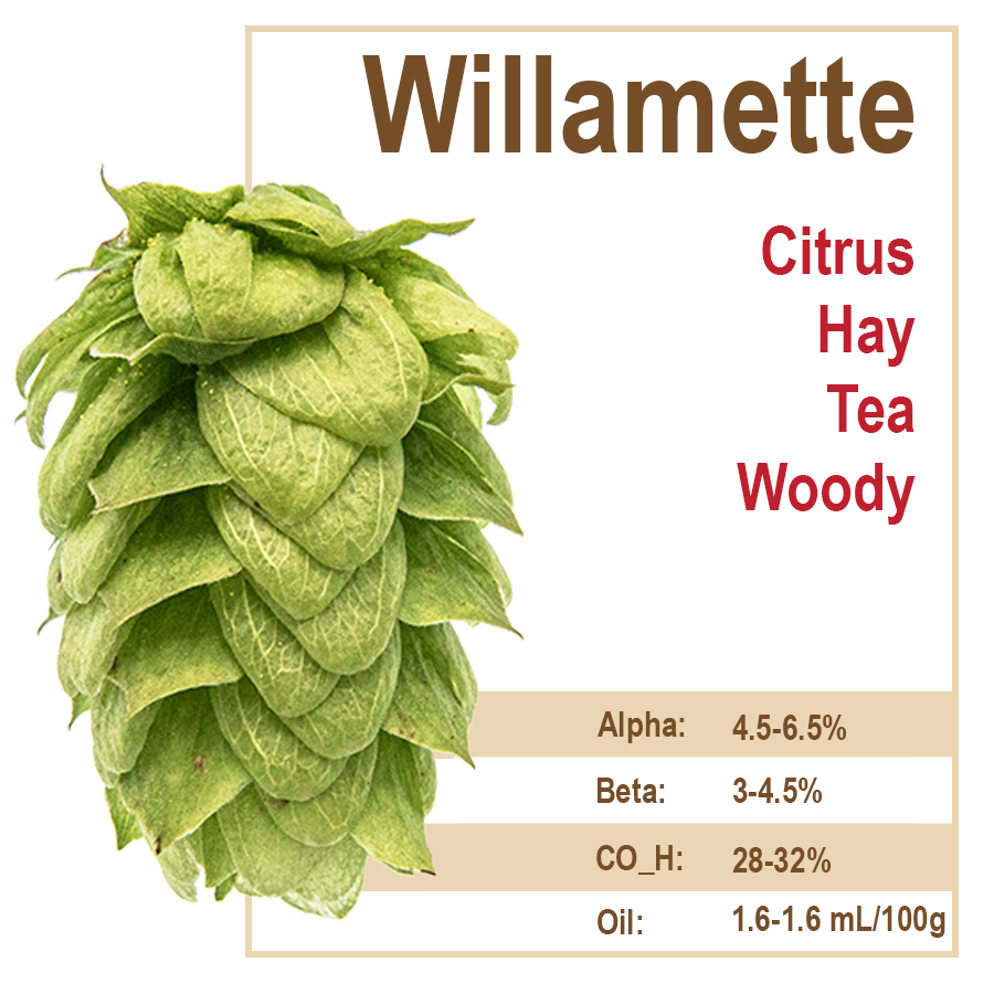 Willamette Hops